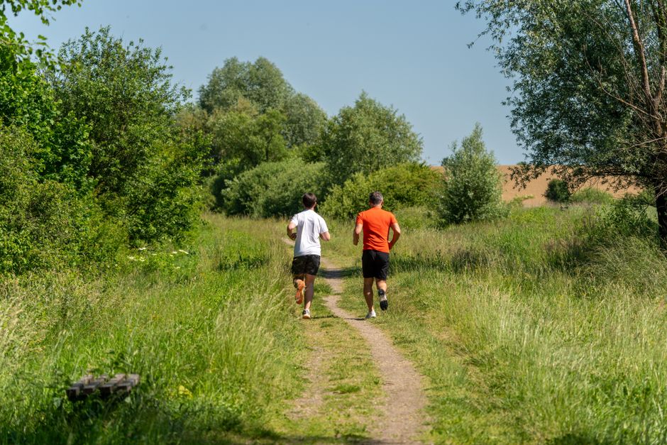 Where to find the best parkrun near you