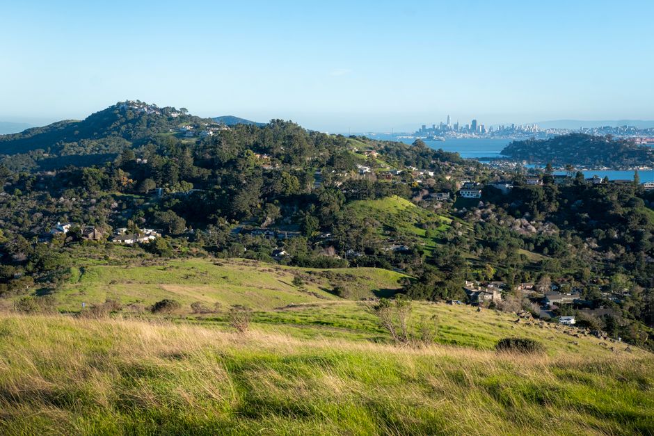 Bay Area Soccer Clubs Post Strong Summer Results Amid Peak Competition