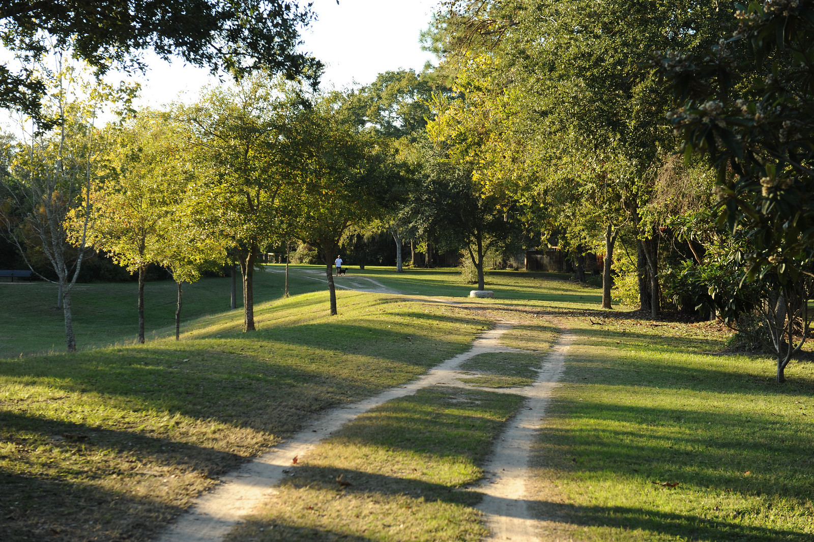 Buffalo Bayou Park and Cistern Outdoor Visit Guide