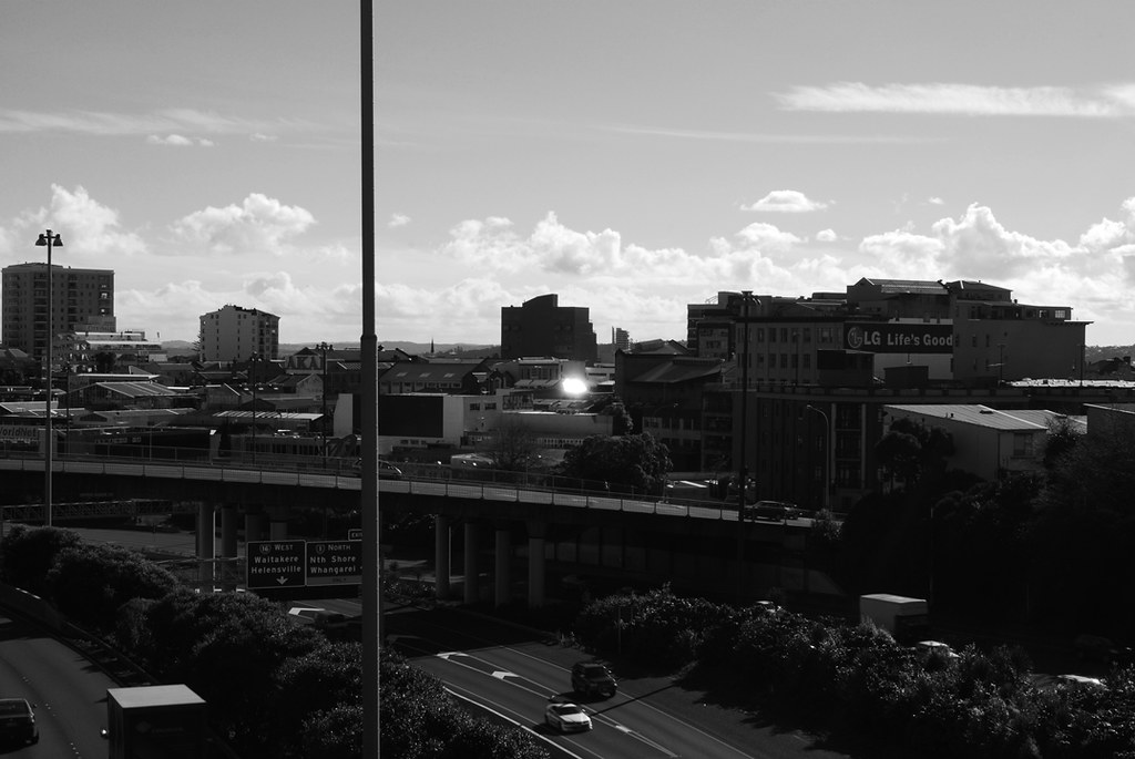 Community Networks Transform Auckland Museum and Gallery Programming