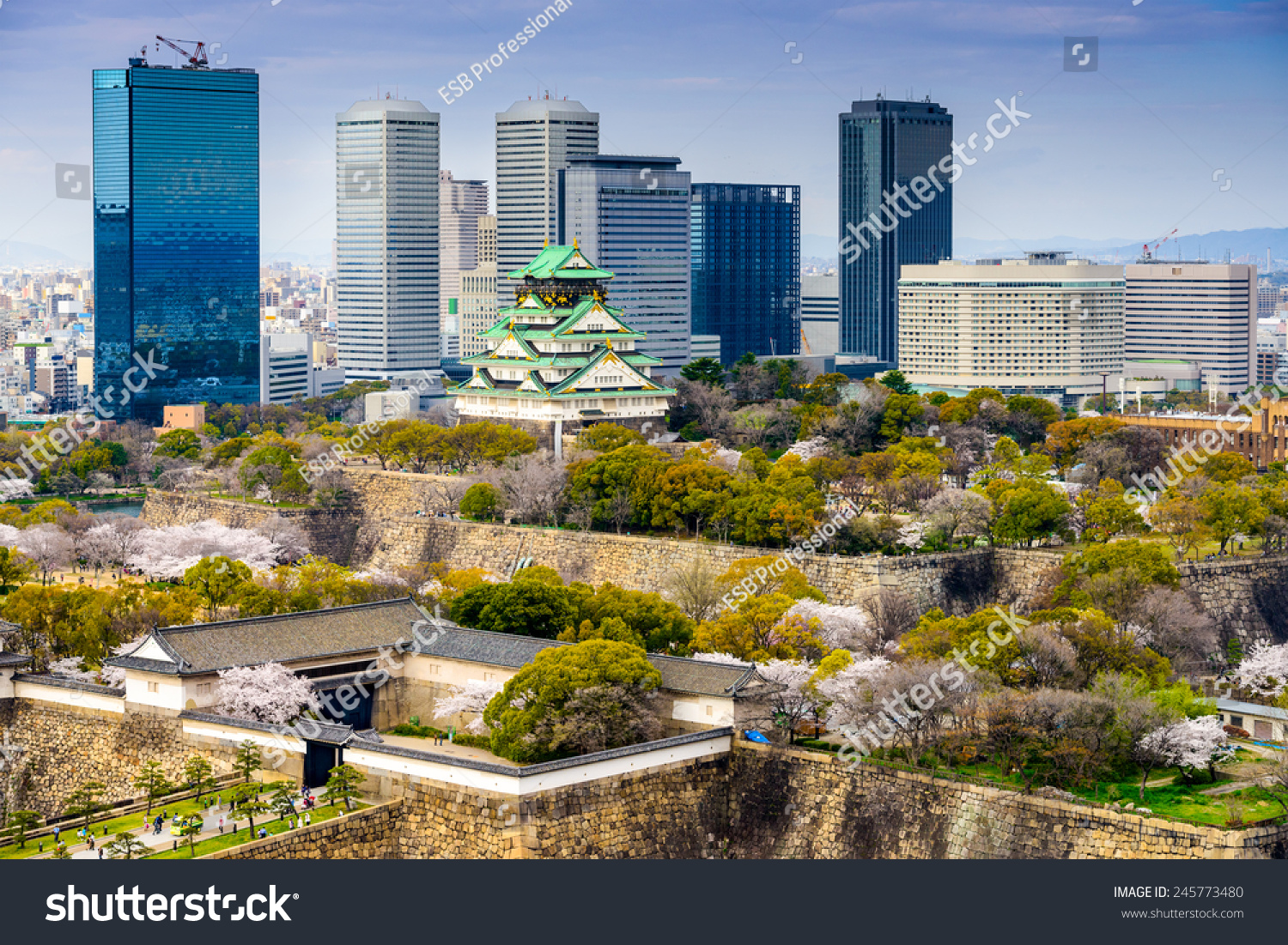 Osaka Property Prices Rise Steadily, Outpacing Year-Ago Quarterly Growth