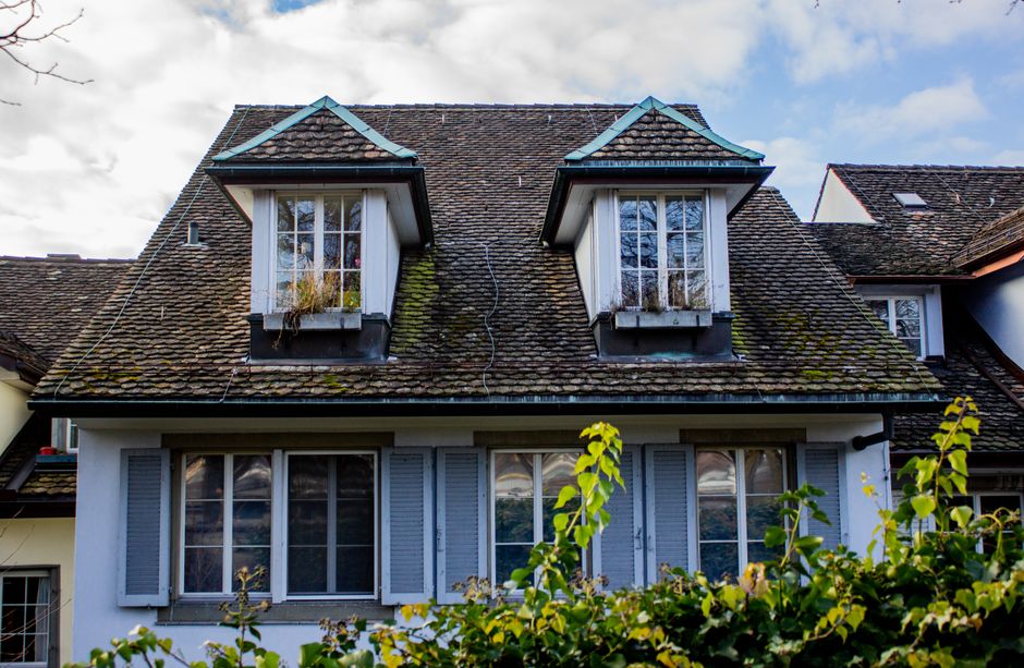 Green Spaces, Human Stories: The Faces Behind Zurich's Outdoor Renaissance