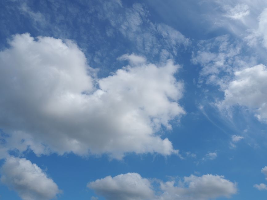 Brisbane Weather Radar Guide & 7-Day Forecast