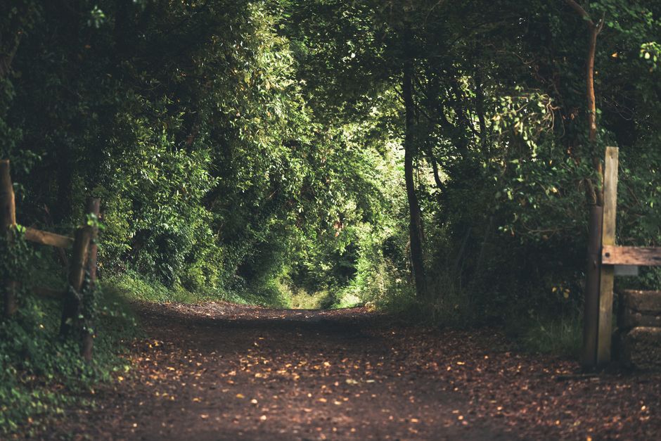 Hidden Walking Trails Bendigo Locals Love
