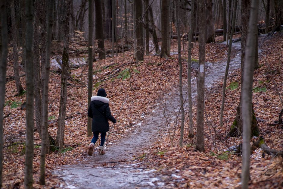 The hidden nature walks locals love but tourists miss