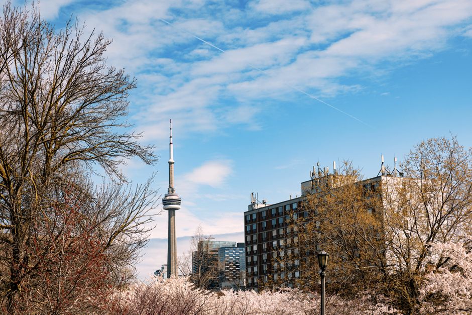 Toronto's Smart City Startups Are Racing to Solve Urban Transit and Housing Data Challenges