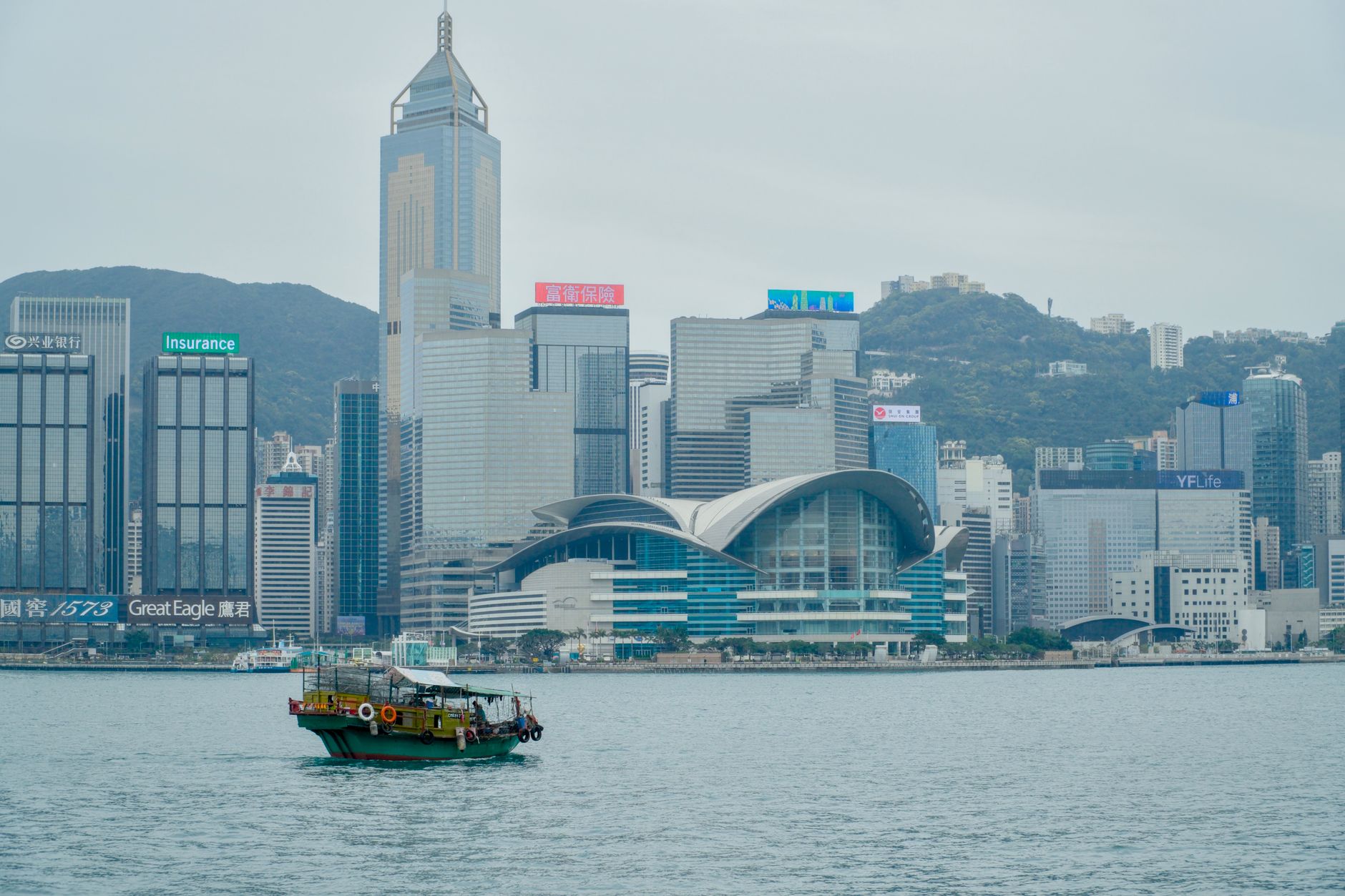Hong Kong's Food Scene Right Now: Your Complete Guide to the Best Local Experiences