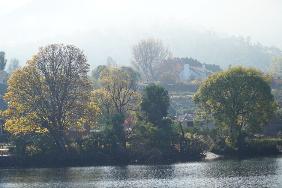 WorkNest is quietly reshaping Tasmania's coworking landscape — and it's worth your attention