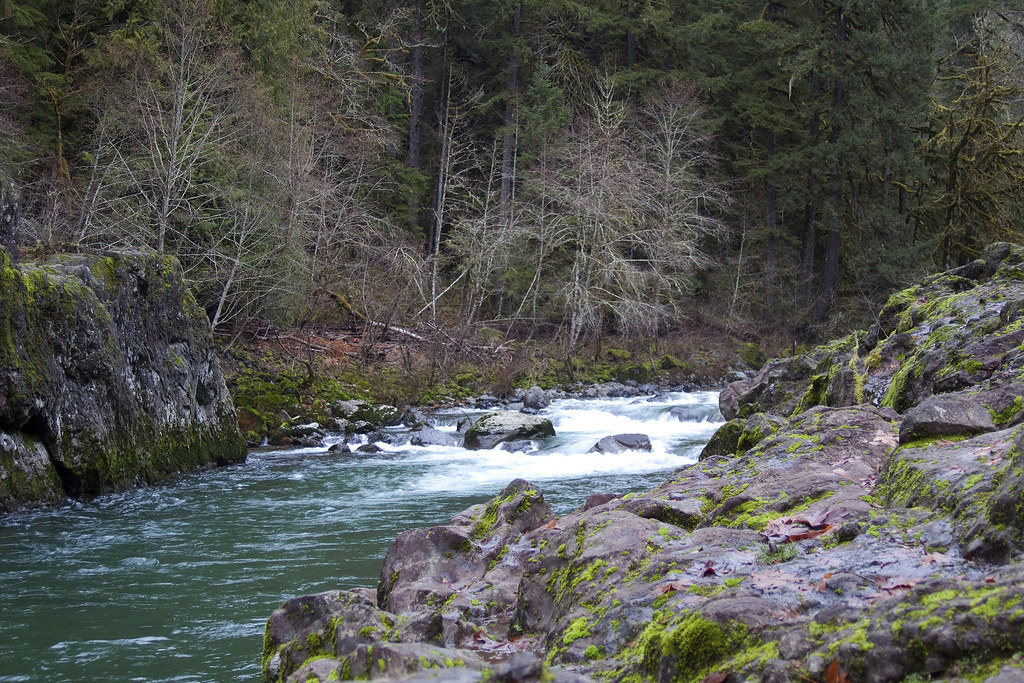 Portland's Free Attractions Showcase Garden, Market, Bridge Communities This Summer