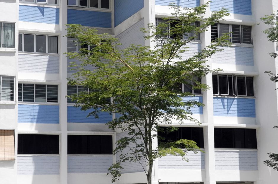 What Singapore's auction rooms and resale data are really telling us about the suburbs worth watching