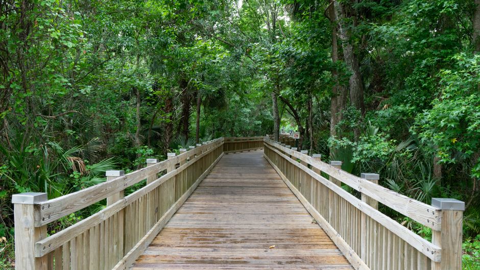 Top Walking Trails Rated by Distance and Difficulty