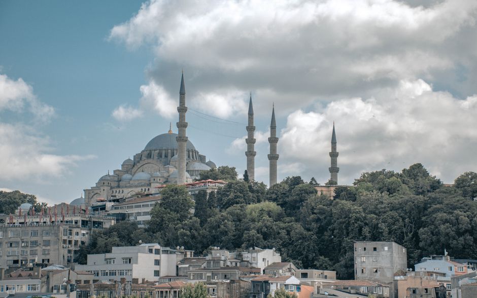 Istanbul's Duplicate Image Replacement: The Data Statistics and Numbers Behind the Story
