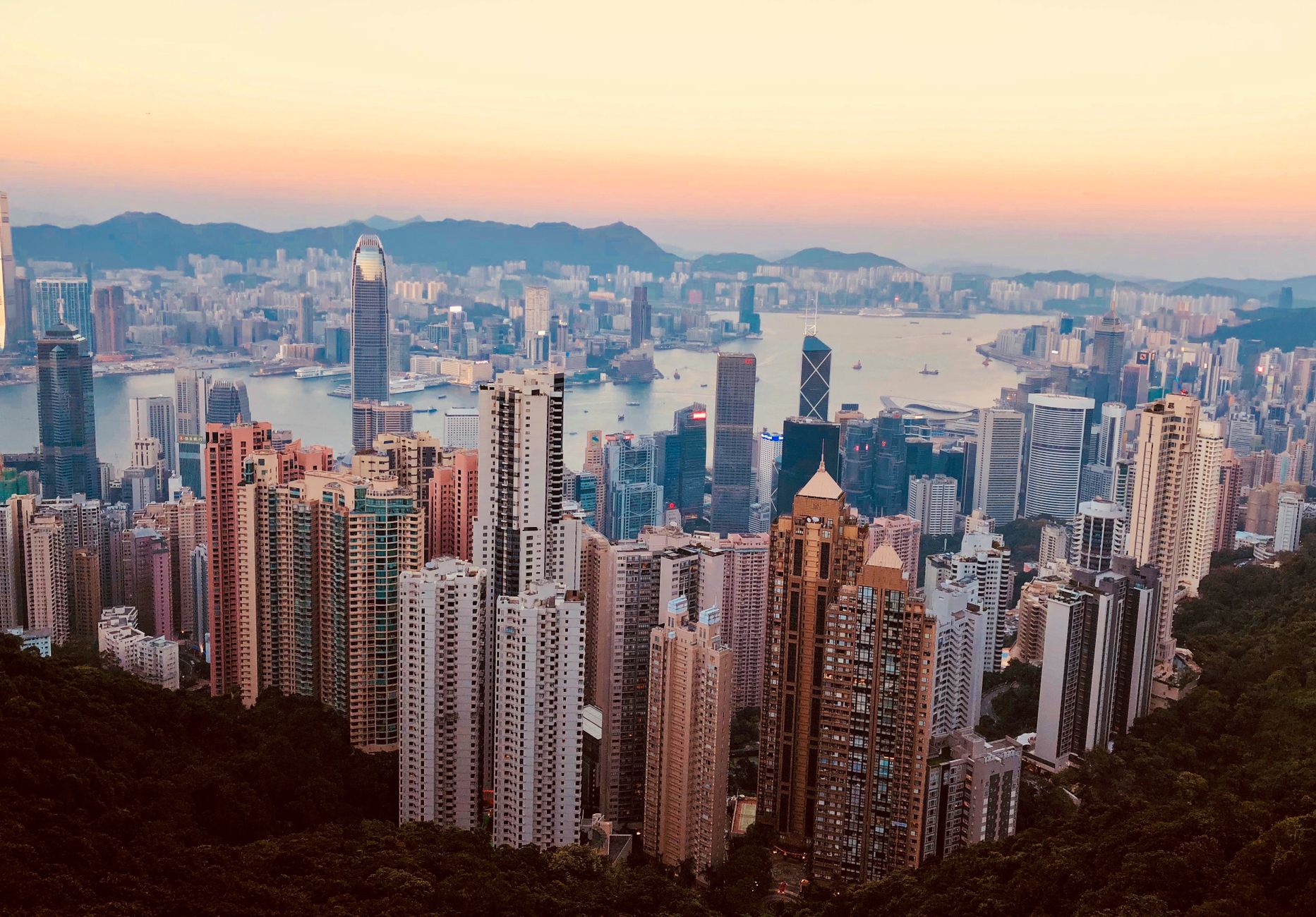 Hong Kong Government Tech Contracts: Startup Competition Heats Up
