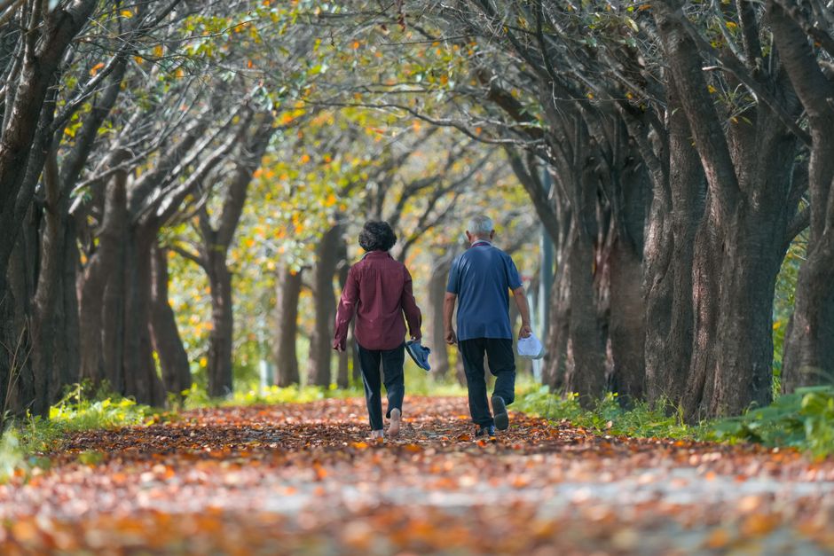 Active Ageing Tasmania: Fitness for Seniors in Hobart