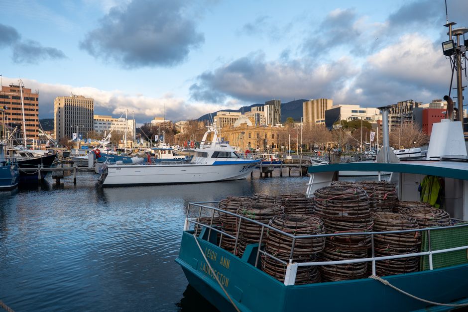 Why Tasmania's Bar Scene Stands Apart: A City Where Craft Meets Conviviality