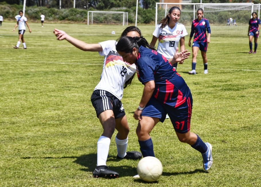 Women's Sport on the Sunshine Coast: Teams, Leagues and How to Get Involved
