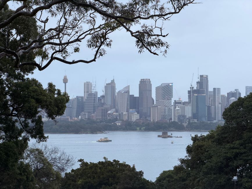 Sydney's green transition by the numbers: what the data reveals about our sustainability push