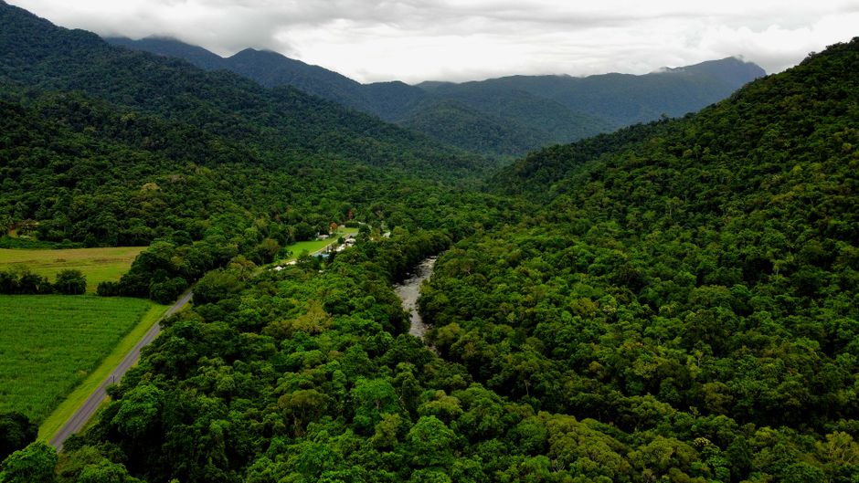 How Much Water to Drink in Cairns: Expert Guide