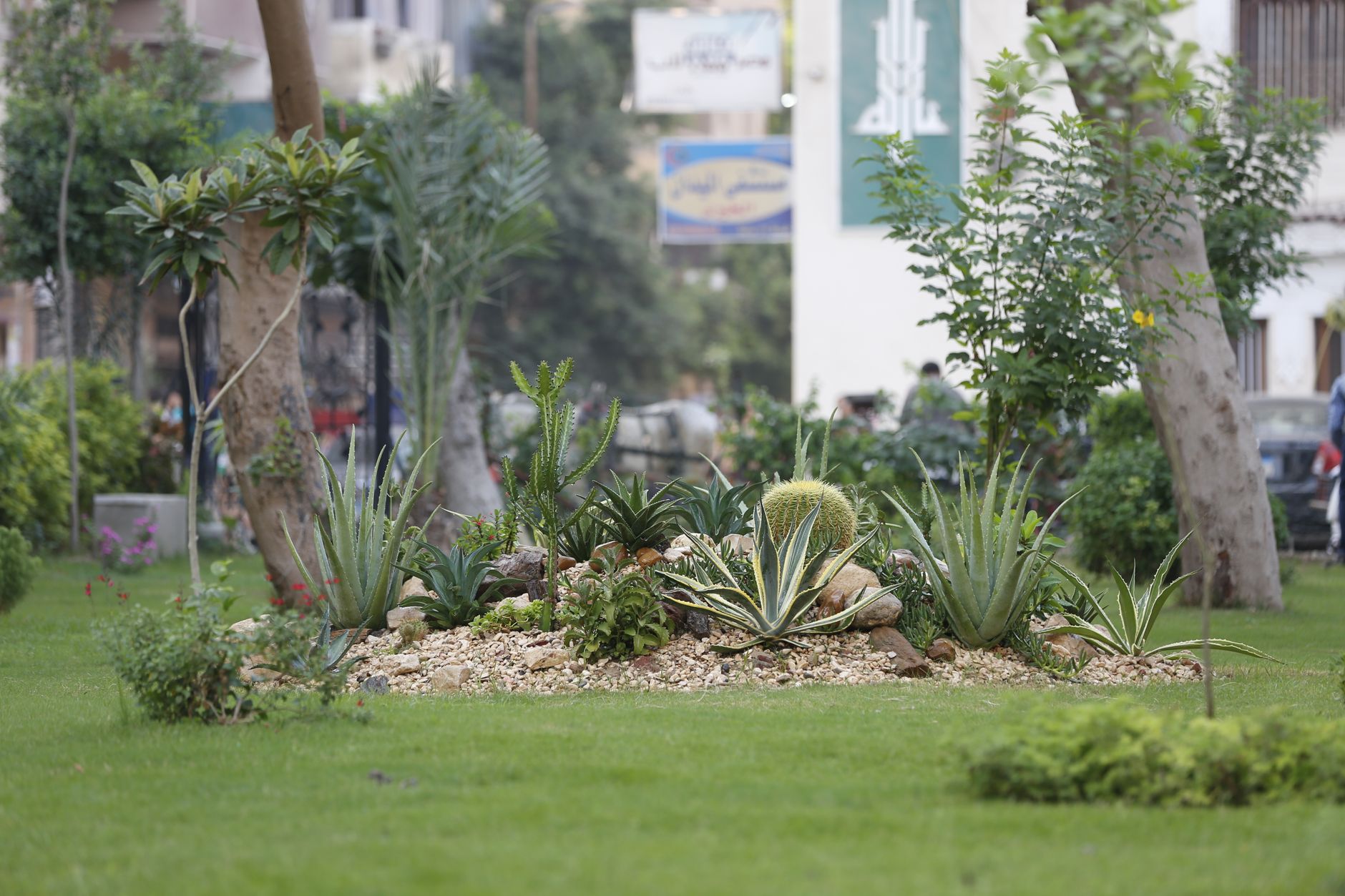 Cairo's aquatic centres emerge as year-round wellness hubs with swim programs designed for every age and ability