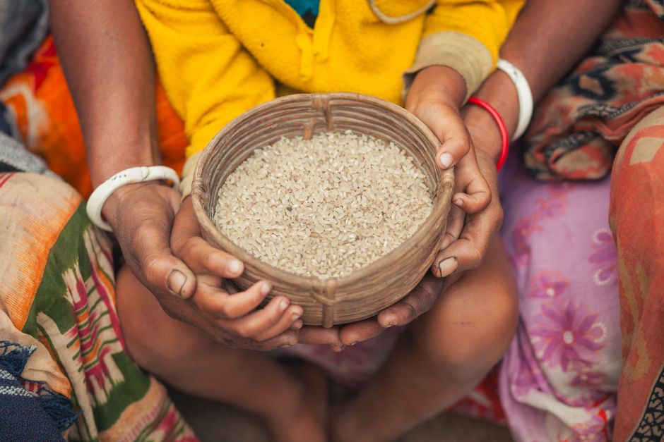 Why fertiliser is a hidden pillar of global food security