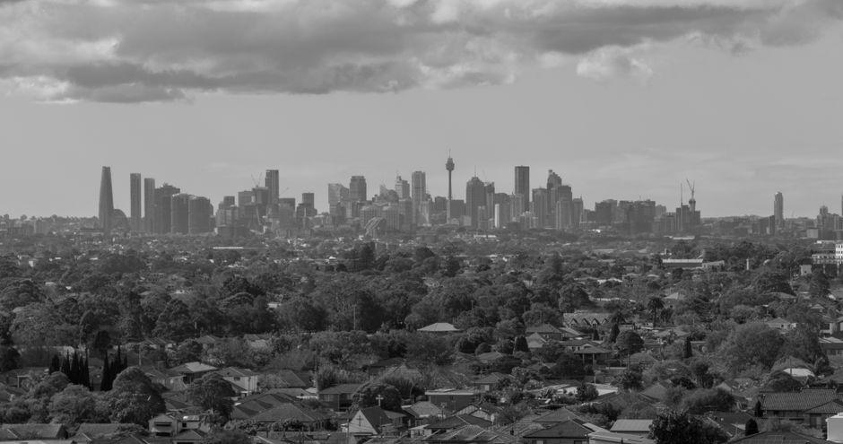 How the global timber industry works, and why Australia's forests are caught in the middle