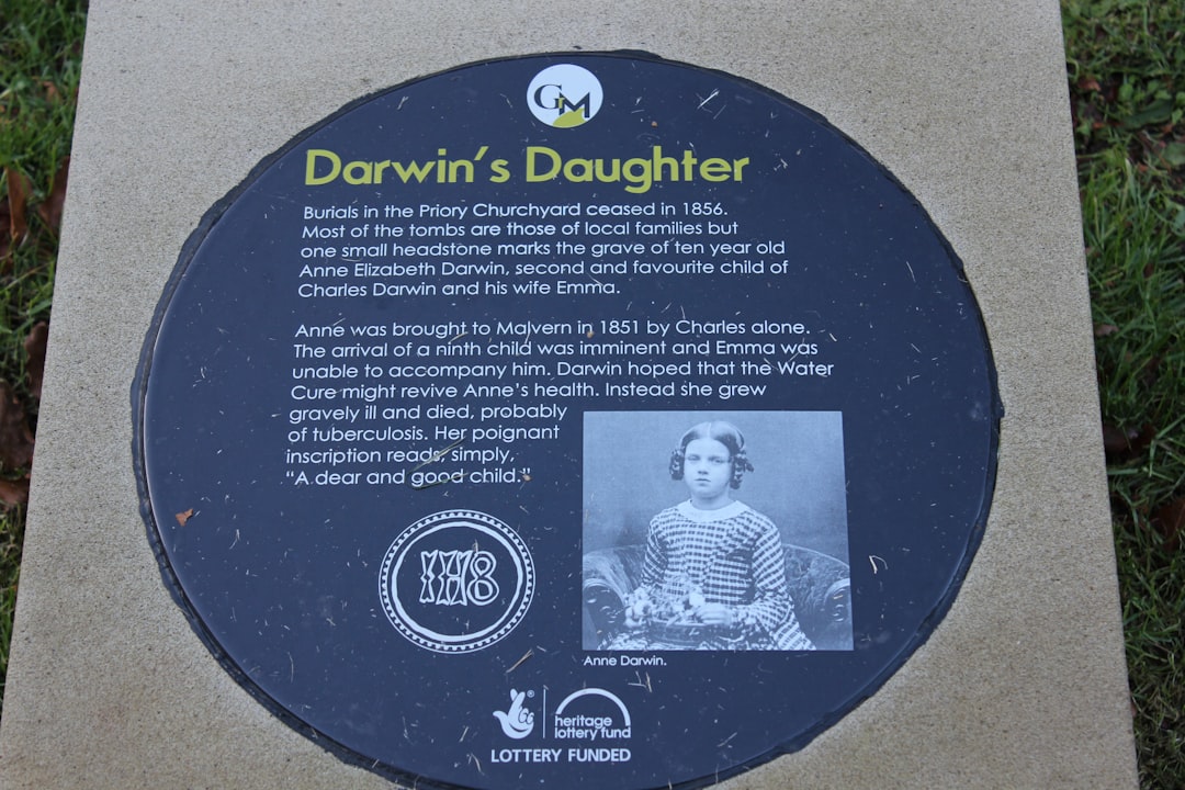 Roll Up: Darwin's Lawn Bowls Clubs and the Joy of a Friendly Social Game