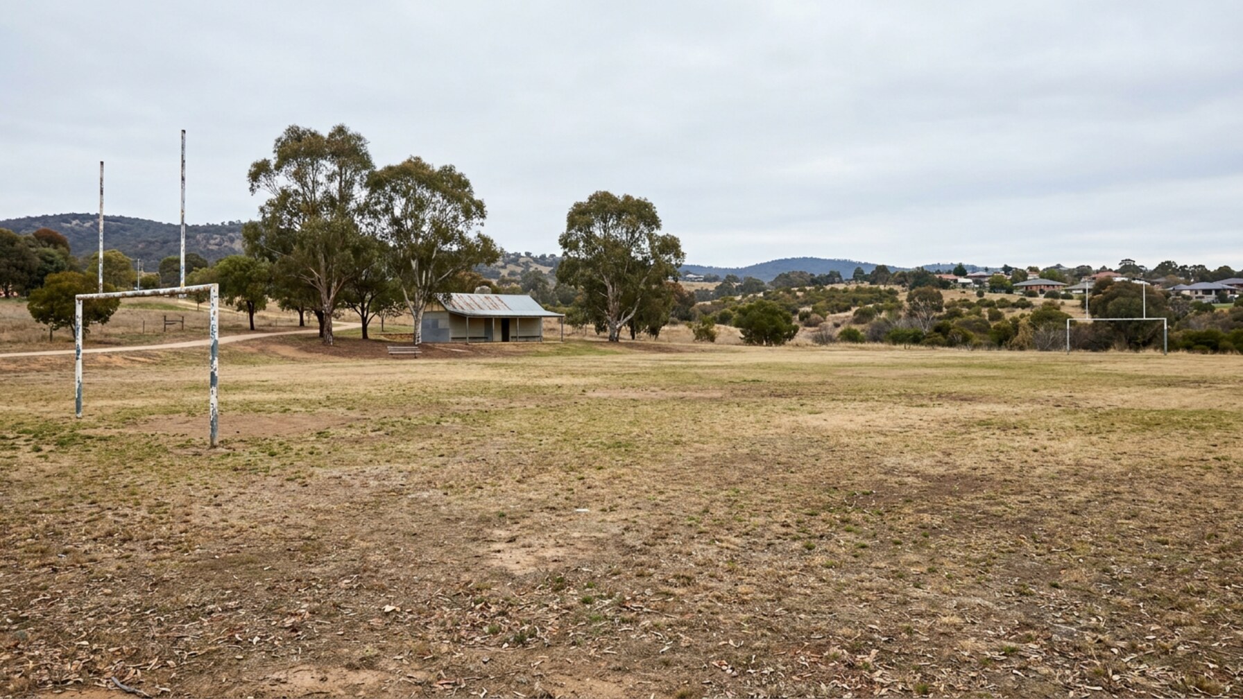Canberra Community Sports Memberships Signal Steady Local Fitness Involvement