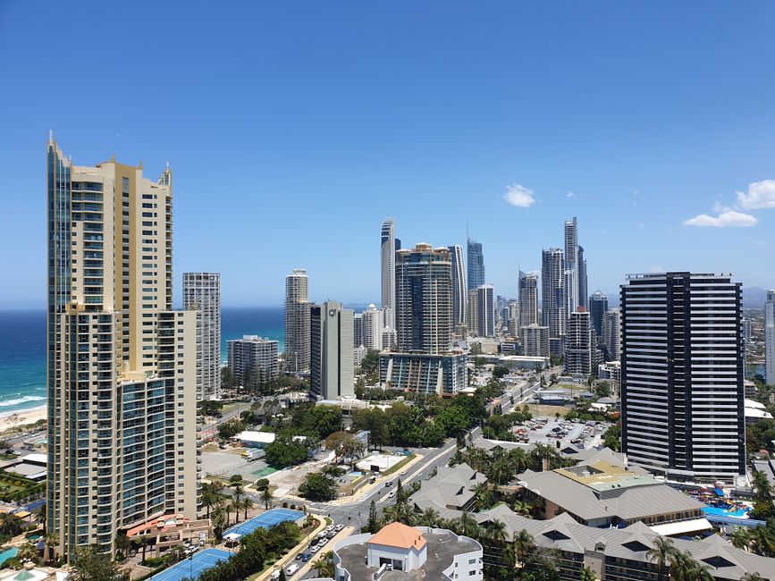 Gold Coast Spring Auctions: Why Volume Spikes 50%+
