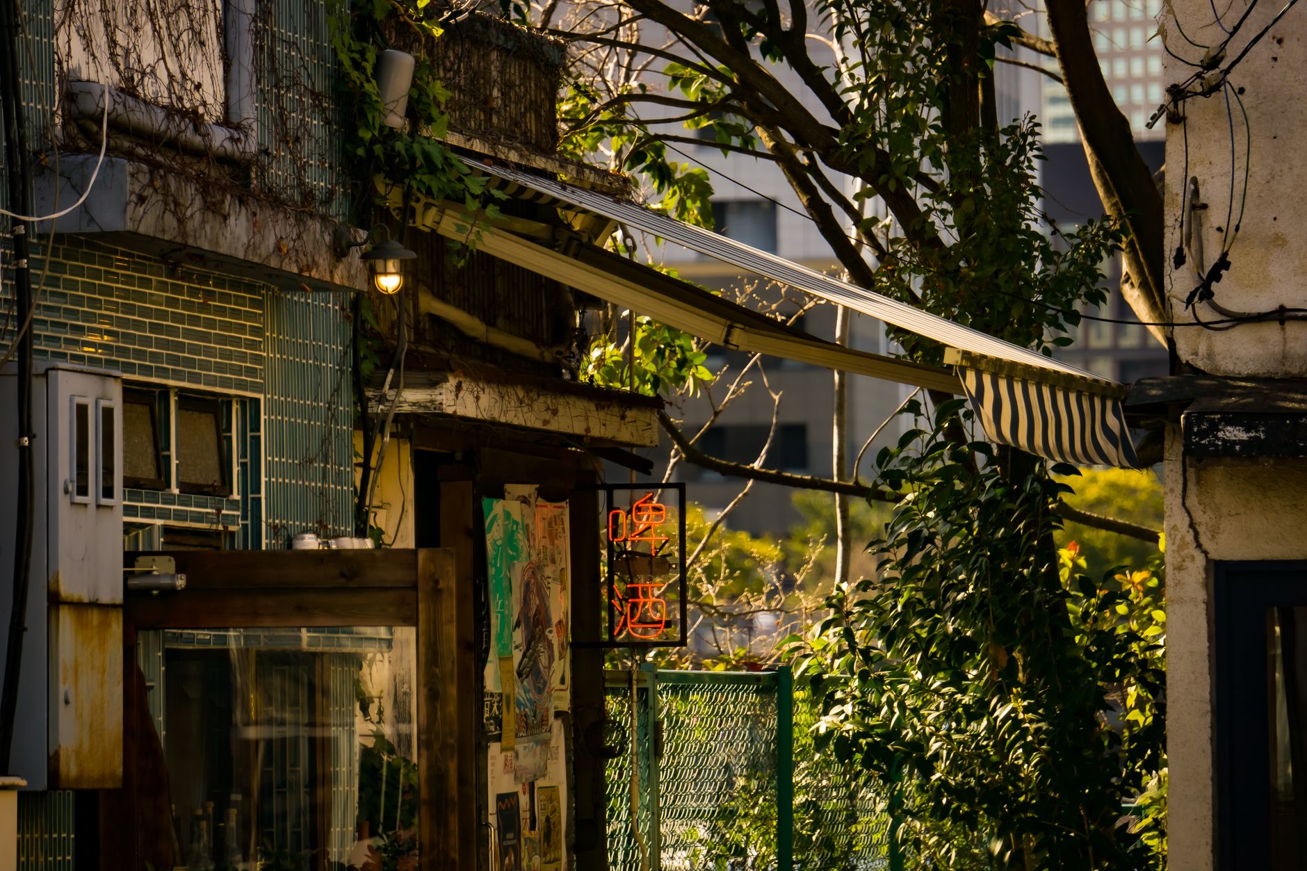 Why Tokyo's Nightlife Defies Every Global Playbook
