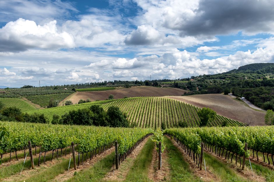 Day Trips from Ballarat: Wine Country and Wilderness Within Reach