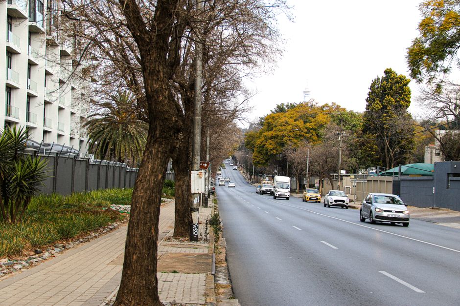 Johannesburg's Tech Scene Shifts: Five Market Trends Every Startup Founder Must Watch Right Now