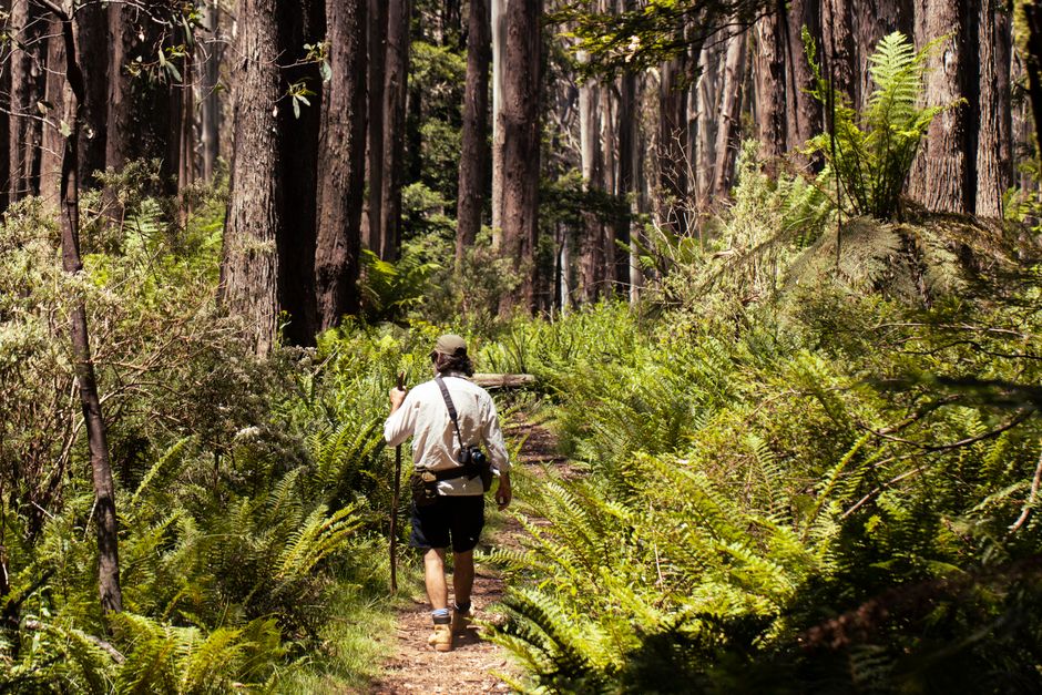 The Hidden Nature Walks Locals Love But Tourists Miss