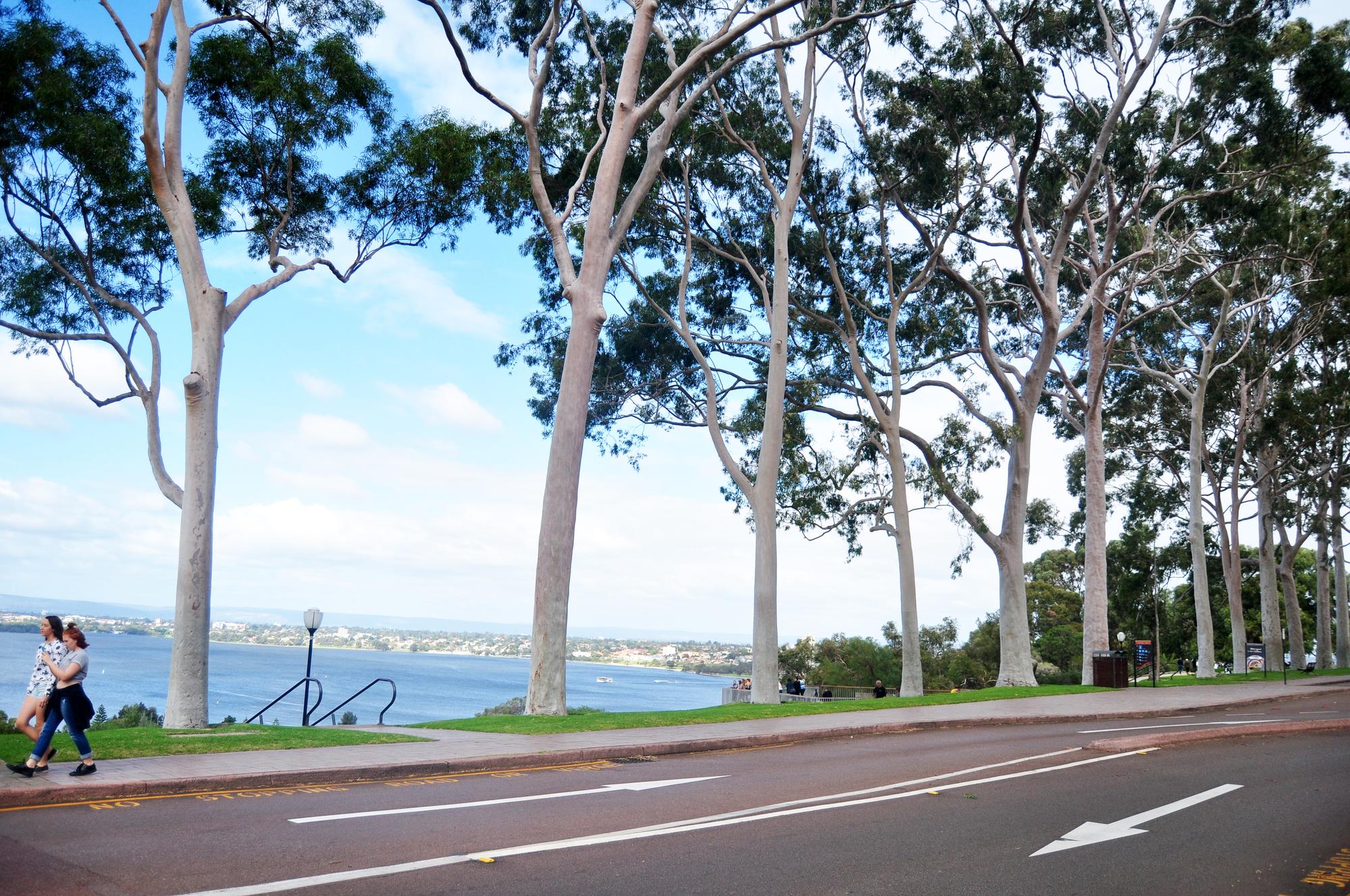 Getting Around Perth: Roads, Public Transport and Connections