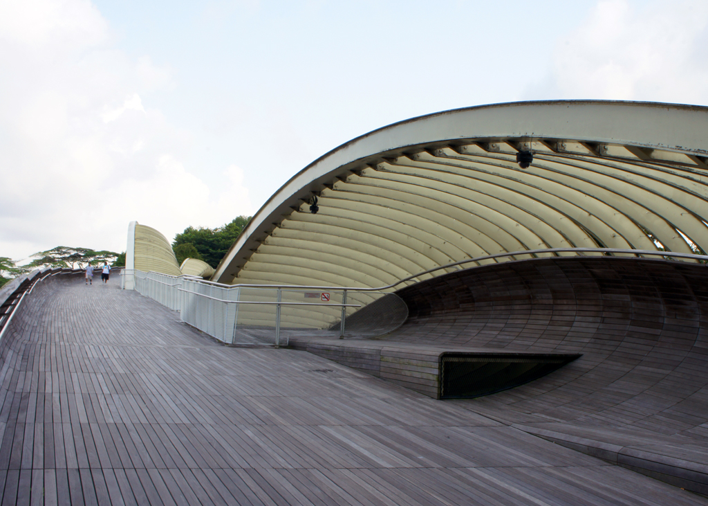Singapore's 2 Best Walking Trails: Distance and Difficulty Ranked