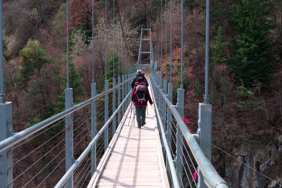 Top Walking Trails Rated by Distance and Difficulty