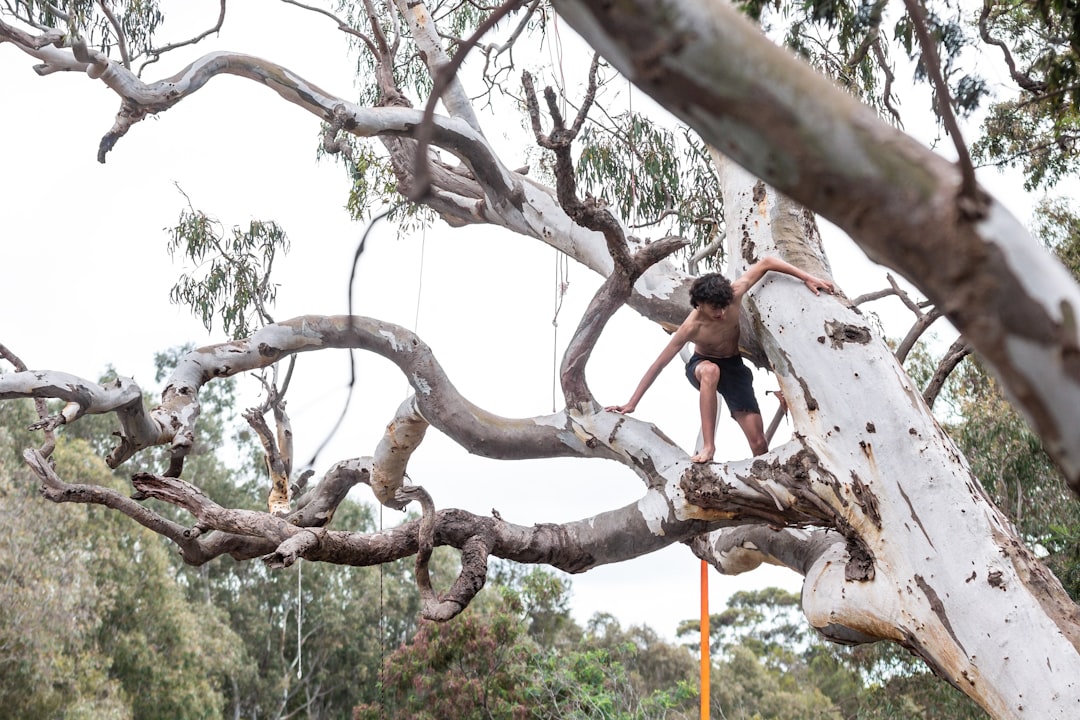 Perth climbers conquer winter crags as wet weather transforms Swan Valley routes