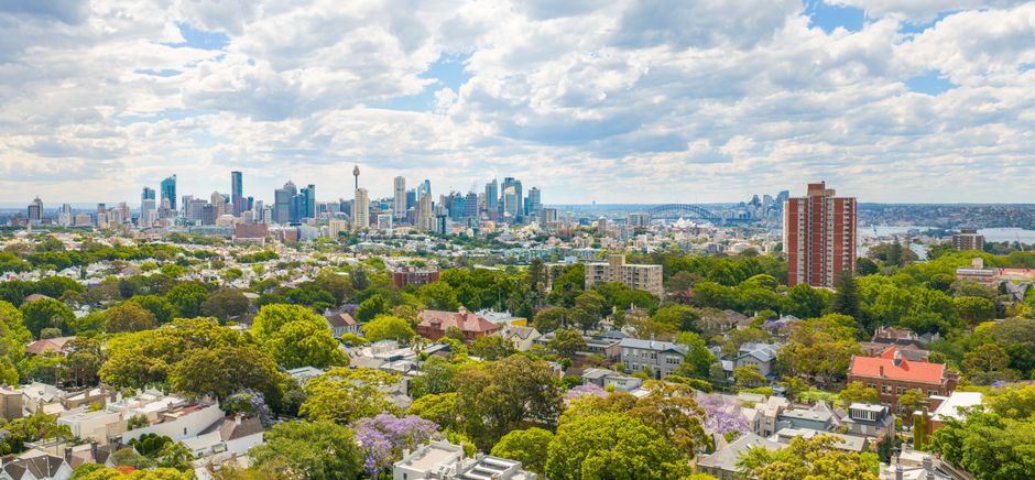 Sydney councils tighten design rules as density push reshapes inner suburbs
