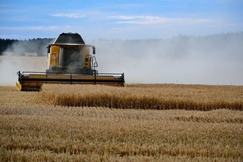 How the world trades wheat, and why a distant harvest sets your bread price