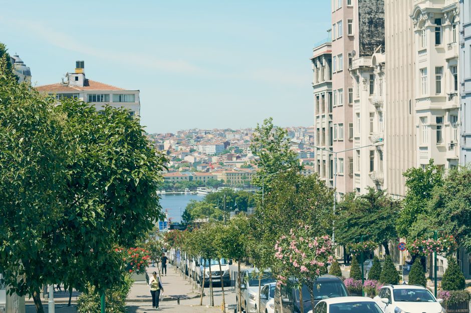 What the Research Actually Says About Istanbul's Traditional Diet