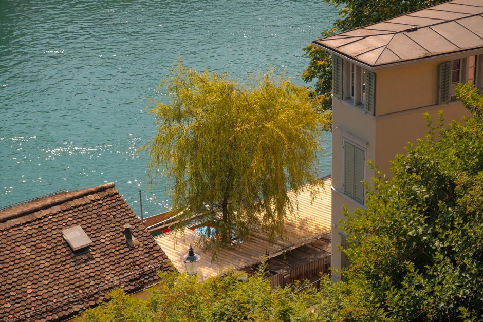 Where Zurich's Best Keep Their Green: Tips and Honest Recommendations from Locals Who Live It Daily