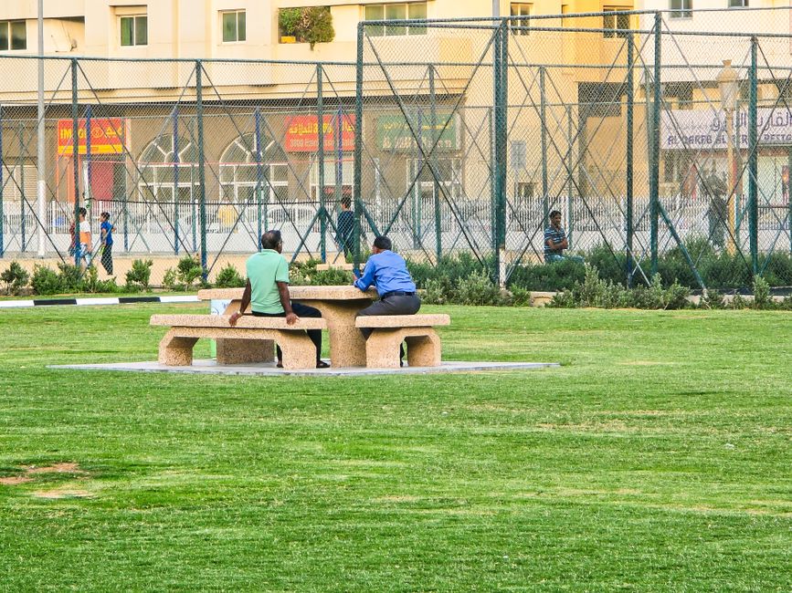 The Numbers Never Lie: What Amateur Sports Participation Data Reveals About Dubai's Evolving Fitness Culture