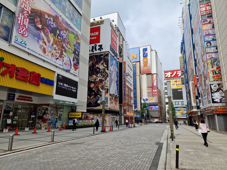 Tokyo's Remote Work Revolution: Convenience and Promise Come With Blind Spots