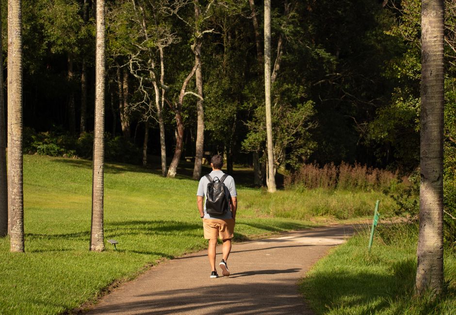 The hidden nature walks locals love but tourists miss
