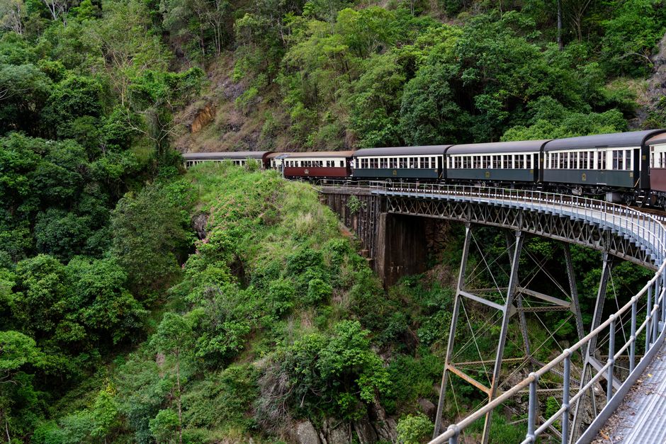 Skyrail and the Scenic Railway: The Two Ways Up to Kuranda
