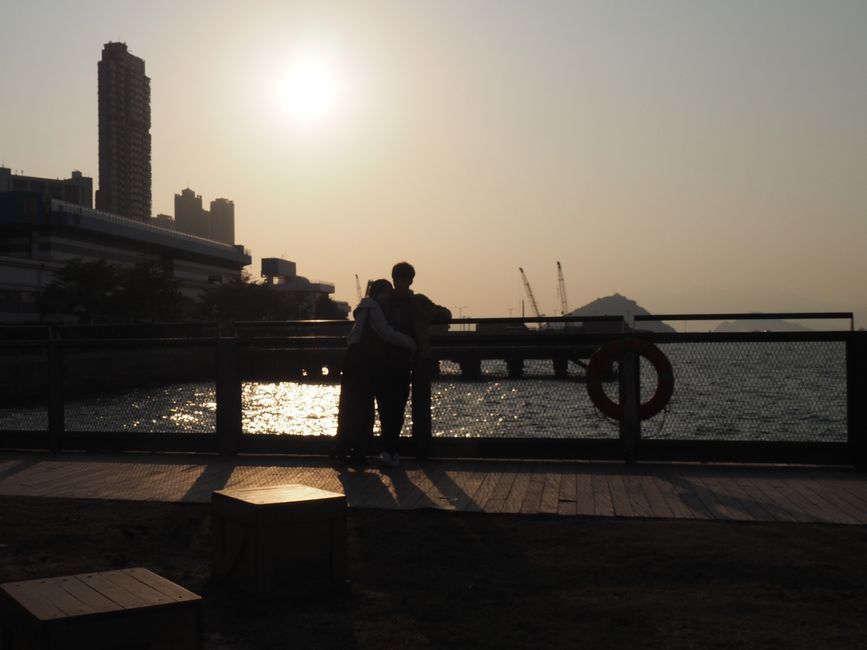 From Harbour Views to Mountain Peaks: How Trail Running Is Taking Root Across Hong Kong