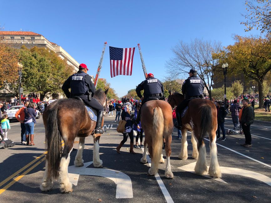 What DC's Gym Numbers Reveal About Our Fitness Culture: A City in Motion