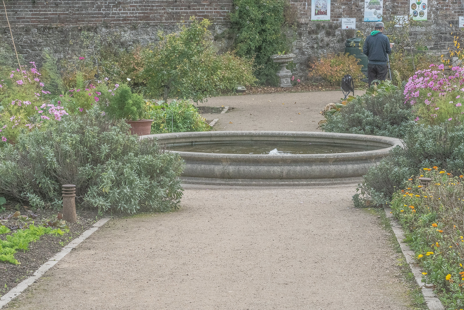 Dublin's Best Parks and Gardens for a Day Out