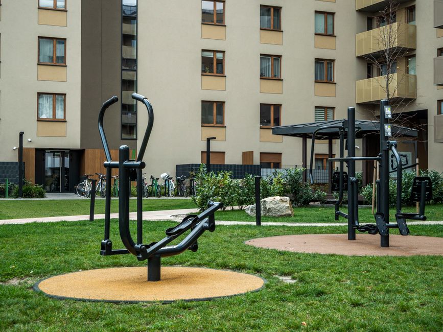 Canberra's Outdoor Gyms: How Local Parks Are Your Wellness Secret Weapon