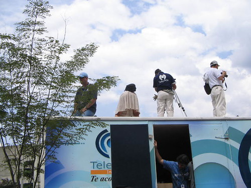 Medellín Dog Parks Transform Into Social Fitness Hubs for Pet Owners