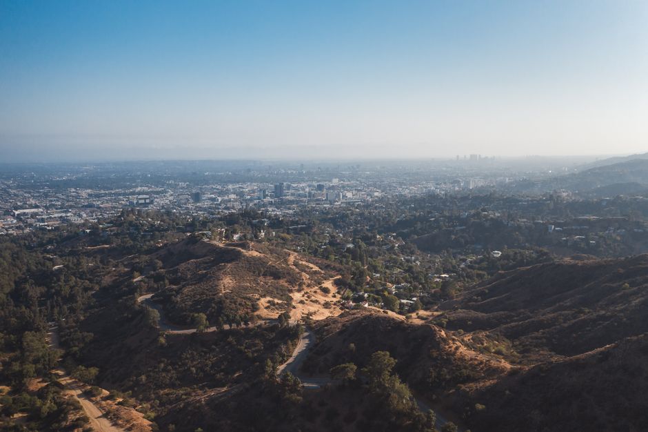 Leash Up, Show Up: L.A.'s Dog-Friendly Parks Are the City's Hottest Fitness Social Scene